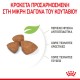 Royal Canin X-Small Puppy 3Kg