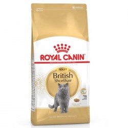 Royal Canin Cat British Shorthair Adult 2kg