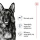 Royal Canin Maxi Adult 15kg +3kg