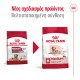 Royal Canin Medium Ageing 10+ 3kg
