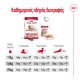 Royal Canin Medium Ageing 10+ 3kg