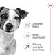 Royal Canin Mini Adult 8+ 8kg