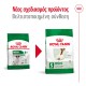 Royal Canin Mini Adult 8+ 8kg