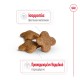 Royal Canin Mini Adult 8+ 8kg