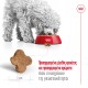 Royal Canin Mini Adult 8+ 8kg