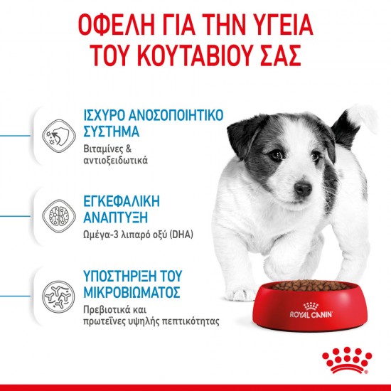 Royal Canin Mini Puppy 2kg