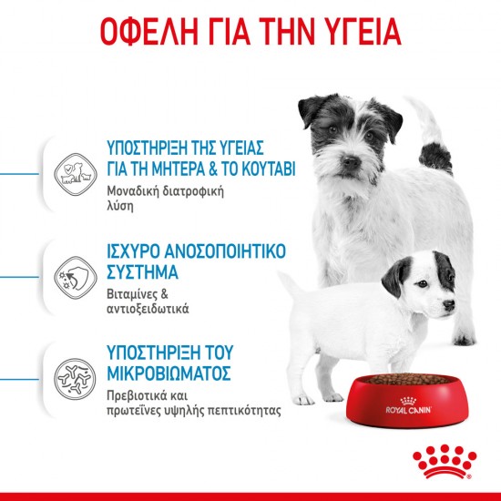 Royal Canin Mini Starter 1kg